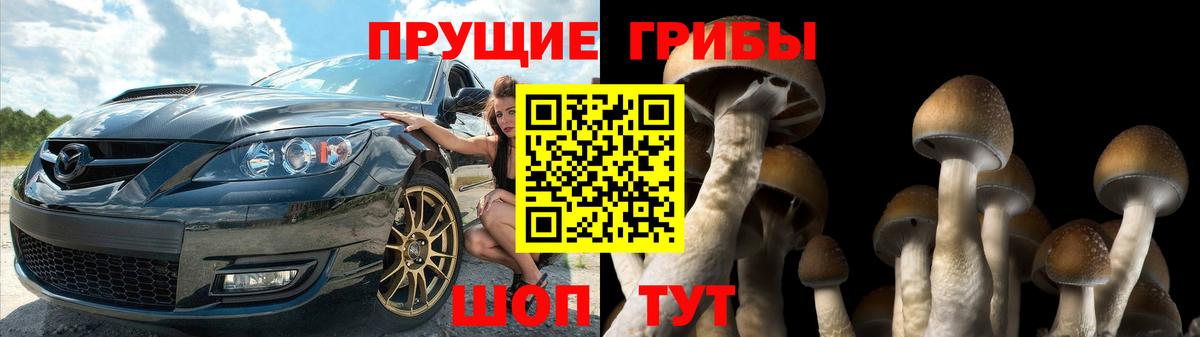 Галлюциногенные грибы Psilocybe Кимры